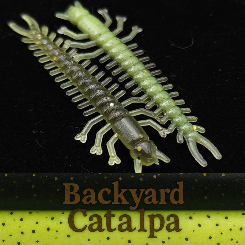 Load image into Gallery viewer, Jar of 1.8&quot; Inch Micro Hellgrammite &quot;The Ditch Devil&quot;
