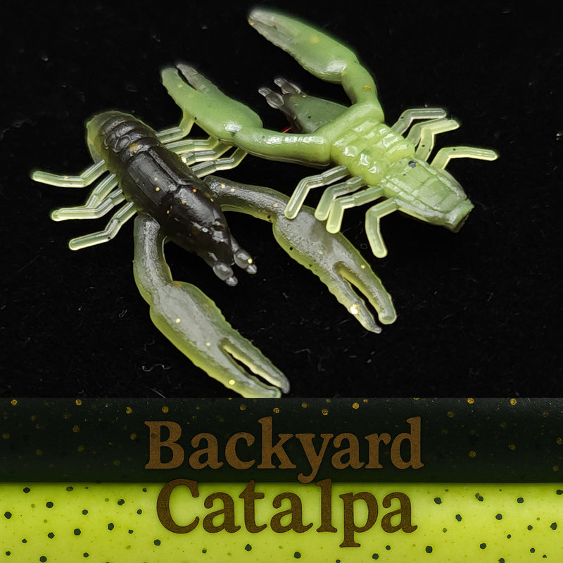 Load image into Gallery viewer, Jar of 1&quot; Inch Micro Crayfish &quot;The Creek Crawler&quot;
