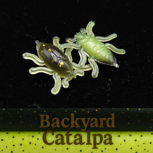 0.5" Half Inch Micro Beetle "Toe Biter"