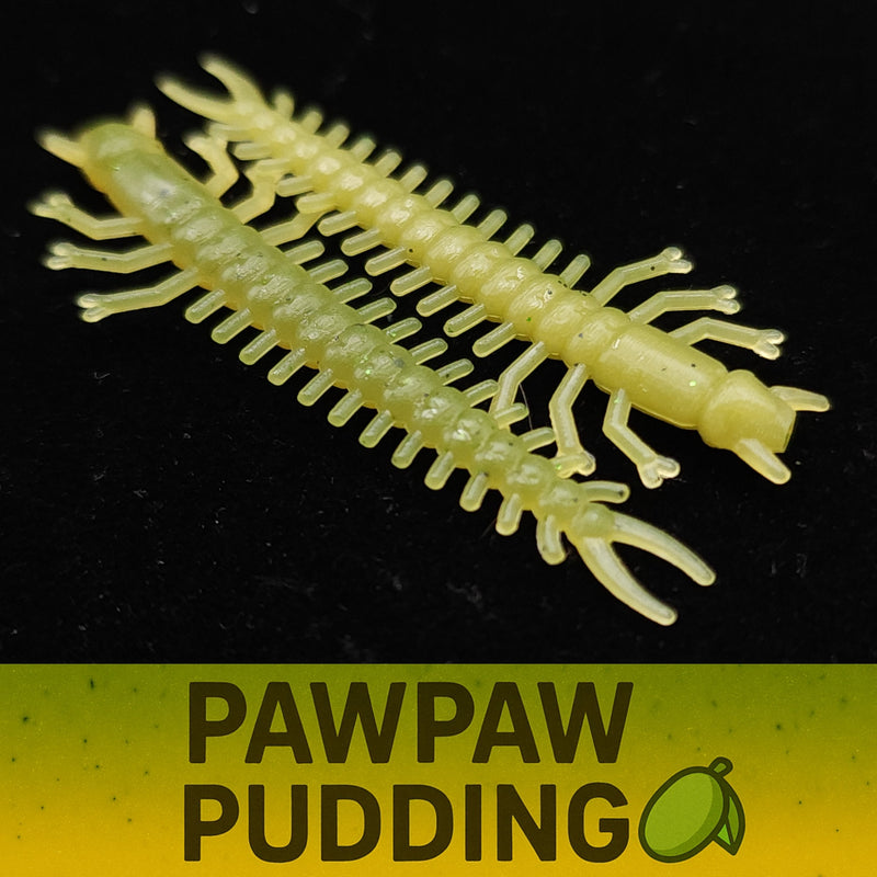 Load image into Gallery viewer, Jar of 1.8&quot; Inch Micro Hellgrammite &quot;The Ditch Devil&quot;
