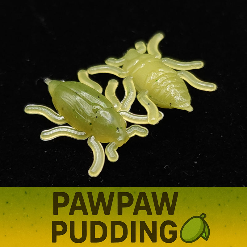 Load image into Gallery viewer, Jar of 0.5&quot; Half Inch Micro Beetle &quot;Toe Biter&quot;
