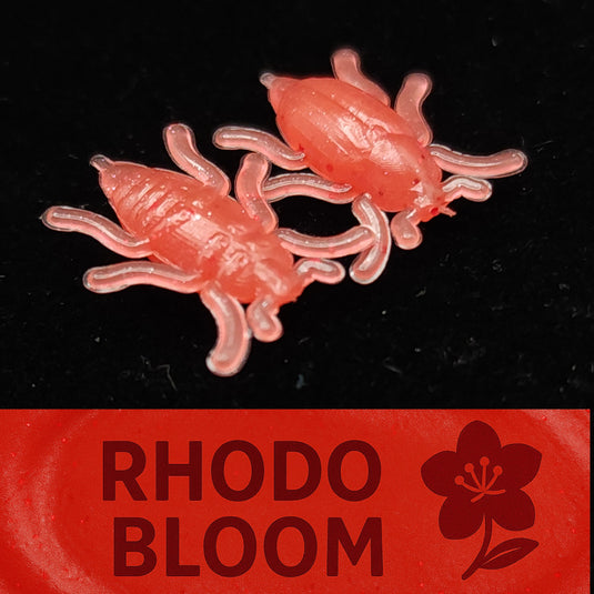 0.5" Half Inch Micro Beetle "Toe Biter"