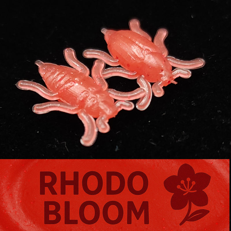 Load image into Gallery viewer, Jar of 0.5&quot; Half Inch Micro Beetle &quot;Toe Biter&quot;
