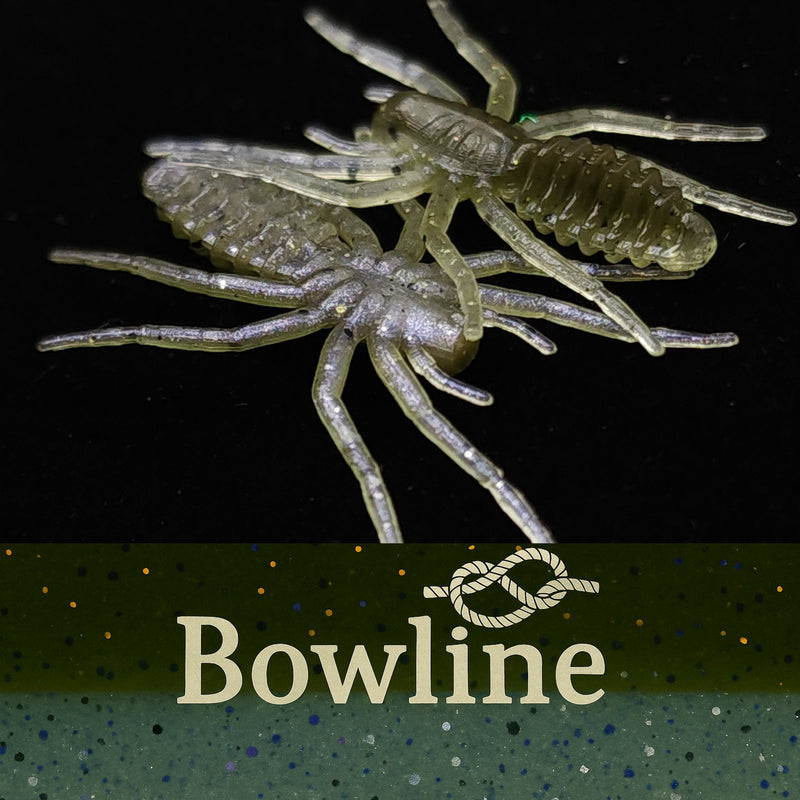 Load image into Gallery viewer, Jar of 1&quot; Micro Spider Bait &quot;The Writing Spider&quot;
