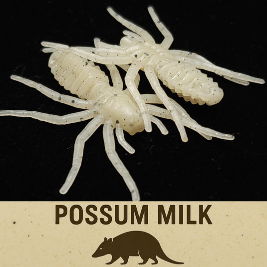 1" Micro Spider Bait "The Writing Spider"