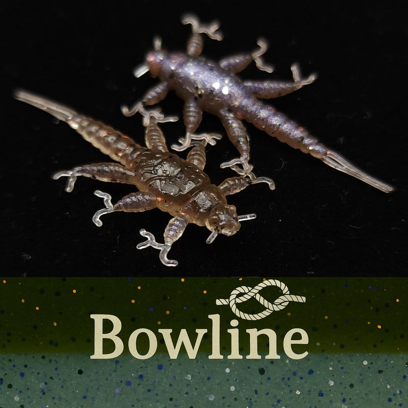 Load image into Gallery viewer, Jar of 1.5&quot; Inch Stonefly Larvae &quot;The Morelkin&quot;
