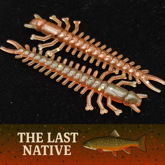 Jar of 1.8" Inch Micro Hellgrammite "The Ditch Devil"