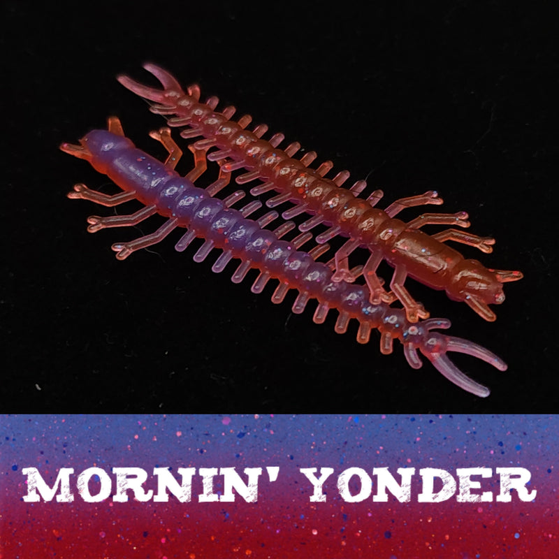 Load image into Gallery viewer, Jar of 1.8&quot; Inch Micro Hellgrammite &quot;The Ditch Devil&quot;
