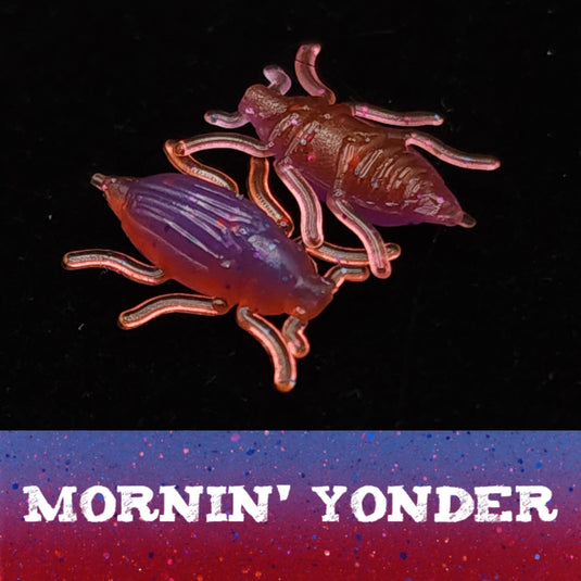 0.5" Half Inch Micro Beetle "Toe Biter"