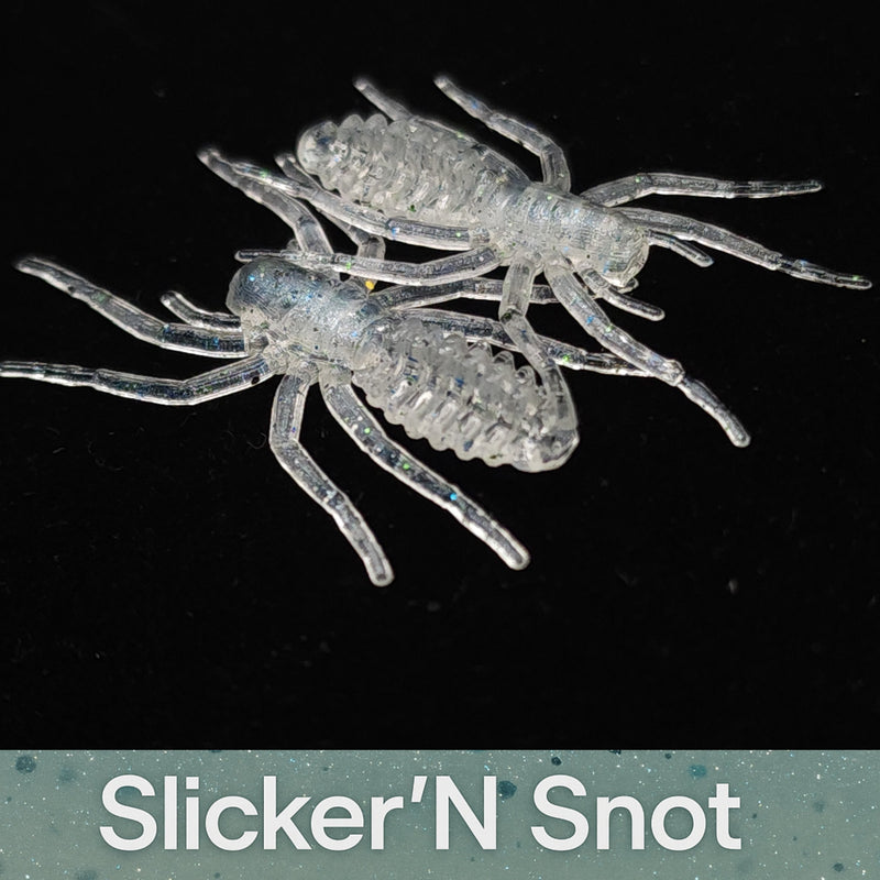 Load image into Gallery viewer, Jar of 1&quot; Micro Spider Bait &quot;The Writing Spider&quot;

