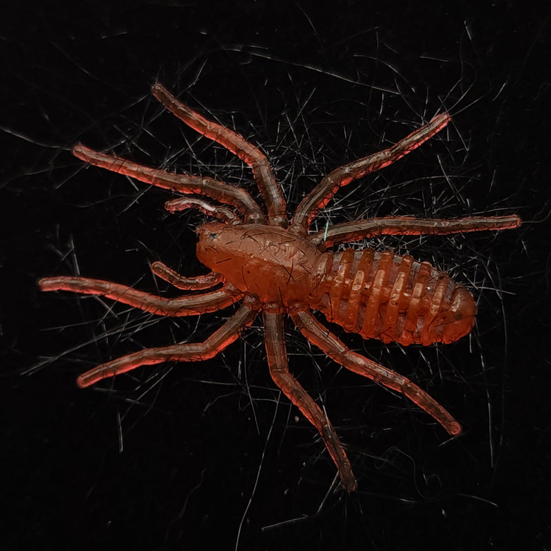 Load image into Gallery viewer, Hairy 1&quot; Micro Spider Bait &quot;The Writing Spider&quot;
