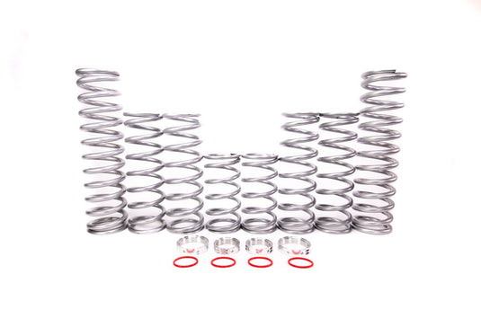 Shock Therapy Dual Rate Spring Kit (DRS) for Polaris RS1