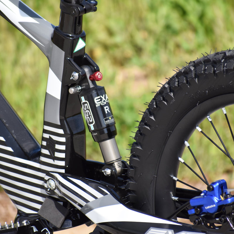 Load image into Gallery viewer, Voltaic Youth Electric Dirt Bike 20&#39;&#39; Flying Fox
