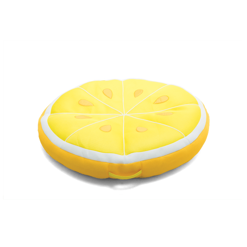 Load image into Gallery viewer, Fruit Slice Large
