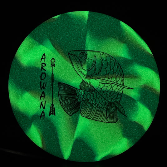 glO-G Arowana