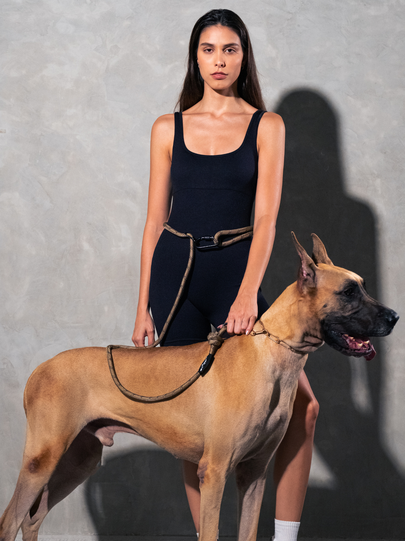 Load image into Gallery viewer, Olive Green Running Hands-Free Dog Leash
