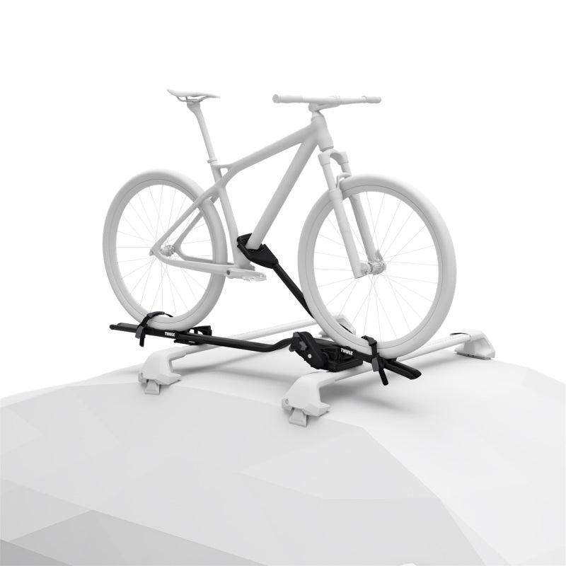 Load image into Gallery viewer, Thule ProRide XT - Upright Bike Carrier (Bikes up to 44lbs.) - Black
