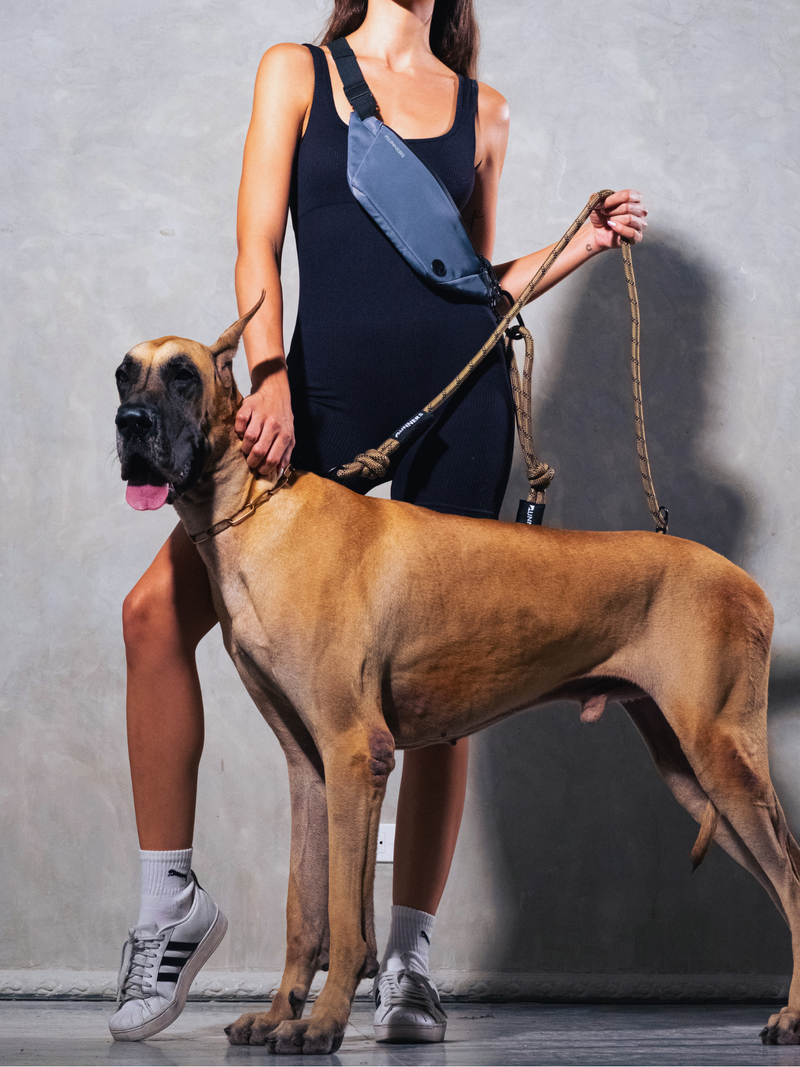 Load image into Gallery viewer, Olive Green Running Hands-Free Dog Leash
