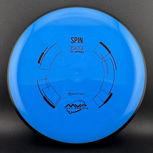 Neutron Spin