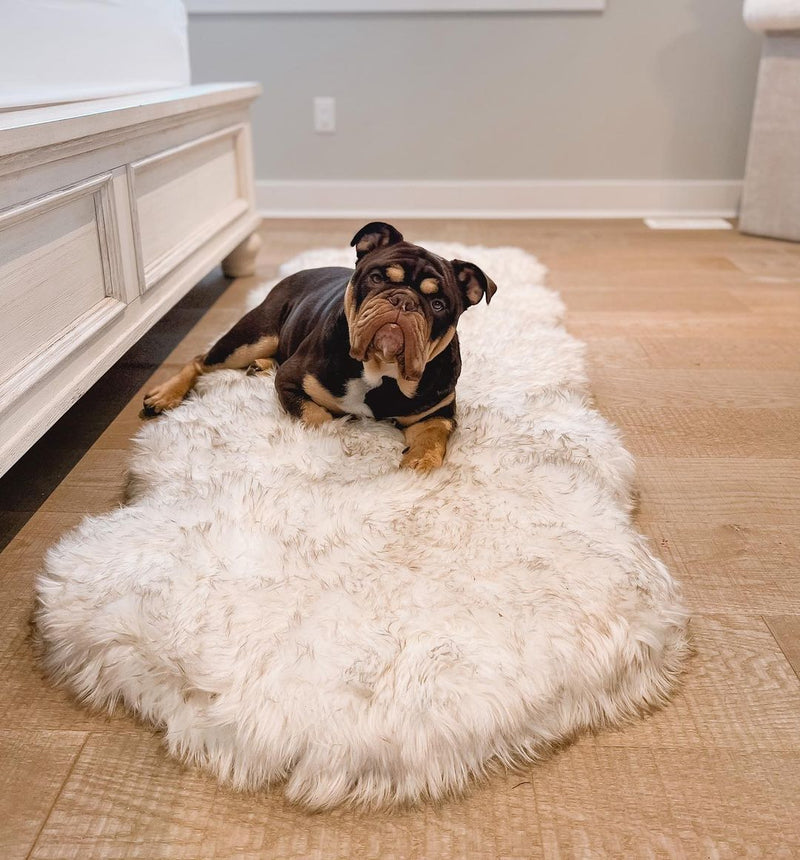 Load image into Gallery viewer, PupRug® Runner Faux Fur Memory Foam Dog Bed - Curve White with Brown Accents
