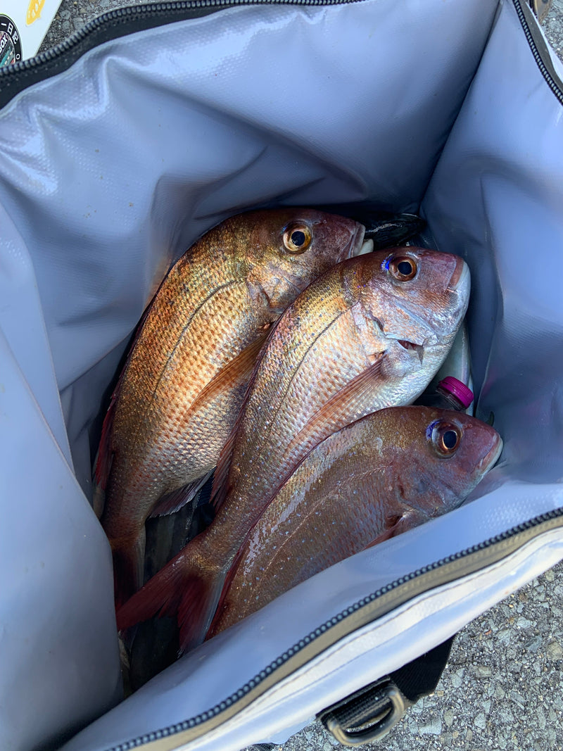Load image into Gallery viewer, 27QT Insulated Fish Cooler Bag, Flat Bottom
