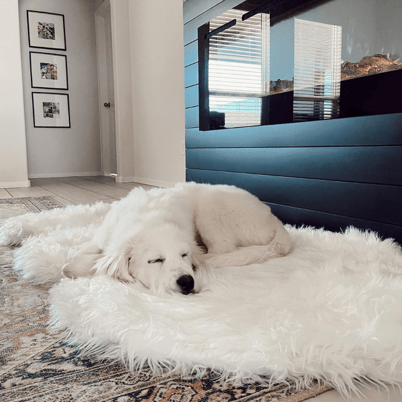 Load image into Gallery viewer, PupRug by Paw.com® Faux Fur Orthopedic Dog Bed - Curve Polar White
