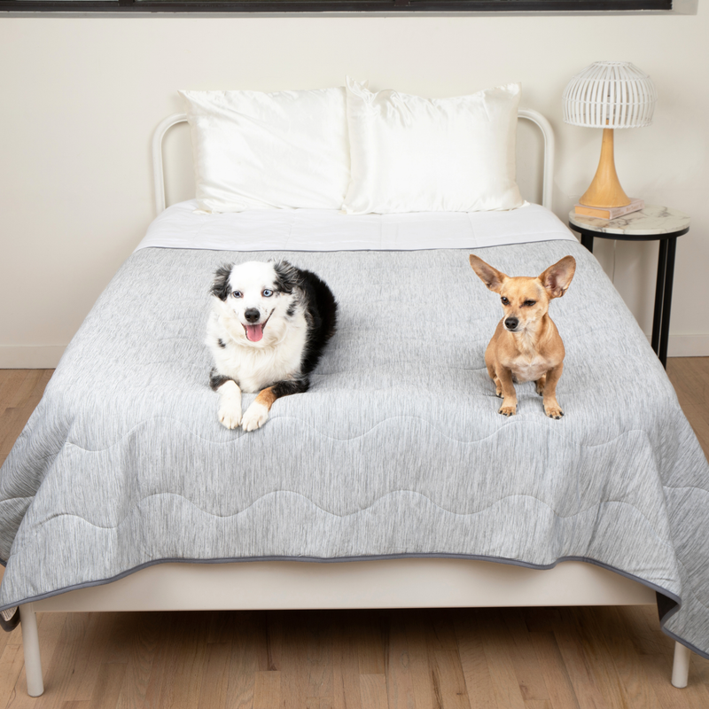 Load image into Gallery viewer, PupChill™ Cooling Waterproof Blanket - Arctic Grey
