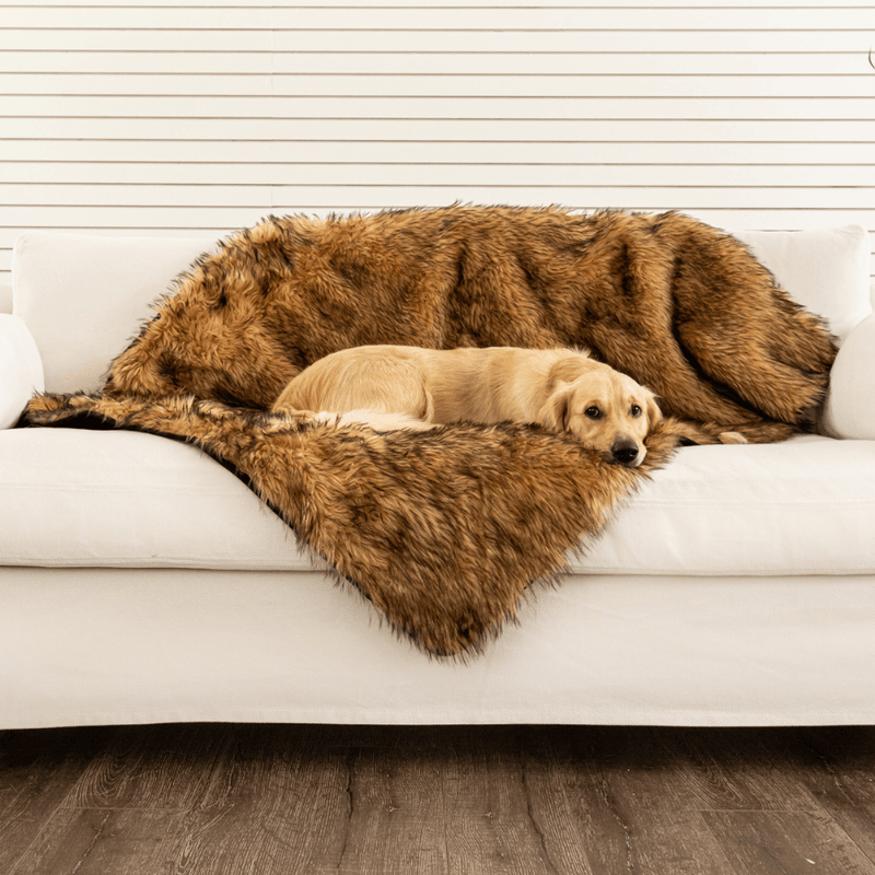 Load image into Gallery viewer, PupProtector™ Waterproof Throw Blanket - Sable Tan
