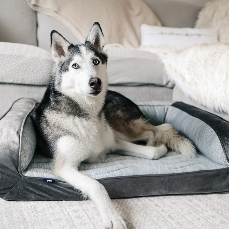 Load image into Gallery viewer, PupChill™ Cooling Bolster Dog Bed
