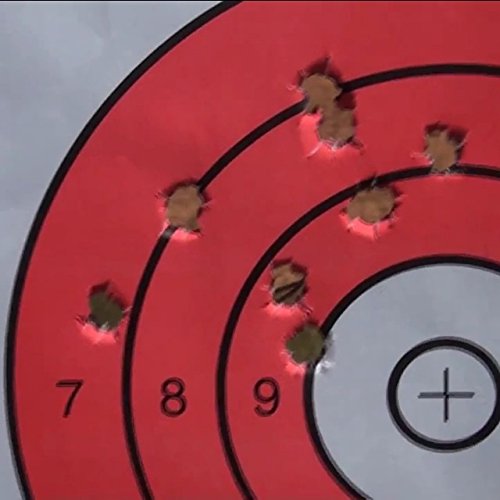 Load image into Gallery viewer, EZ2C Targets #12: Paper Shooting Targets for B16 11"x17" USA MADE
