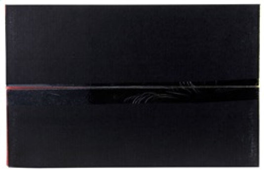 AEM Induction AEM Cold Air Intake System C.A.S. BMW 325 01-03 2.5L; 328 99-00 2.8L 21-672P