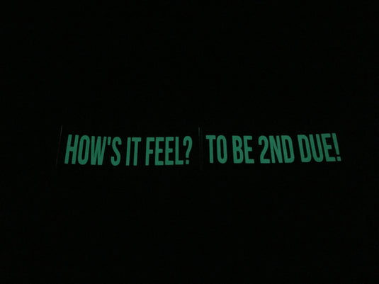 HOW'S IT FEEL? TO BE 2ND DUE! REFLECTIVE GLOW IN THE DARK HELMET DECAL