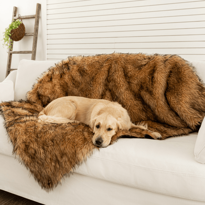 Load image into Gallery viewer, PupProtector™ Waterproof Throw Blanket - Sable Tan
