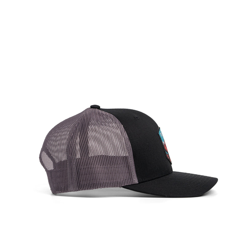 Load image into Gallery viewer, Born To Be Wild Patch Hat

