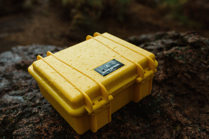 Load image into Gallery viewer, Seahorse 300
