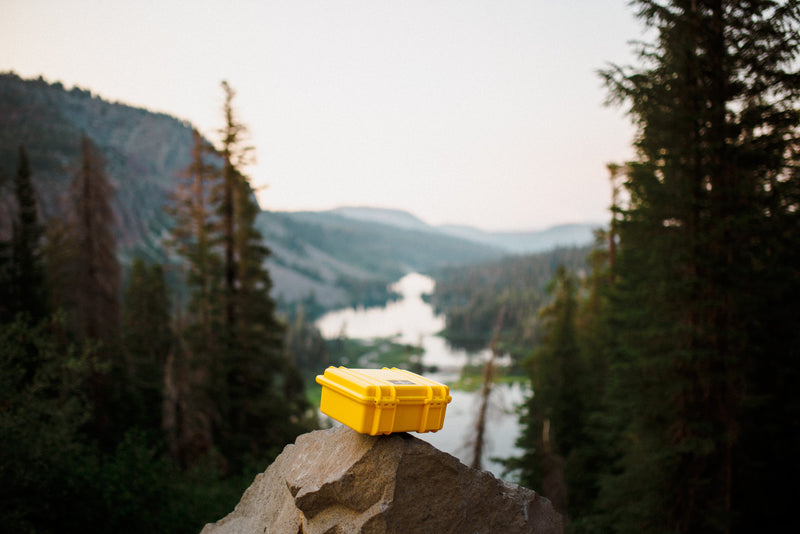 Load image into Gallery viewer, Seahorse 300
