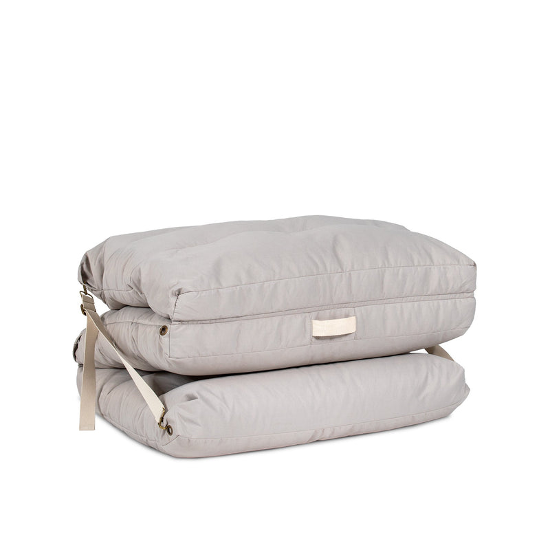 Load image into Gallery viewer, Chameleon Lounger
