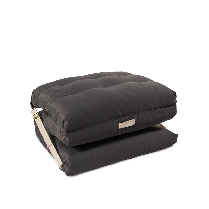 Load image into Gallery viewer, Chameleon Lounger
