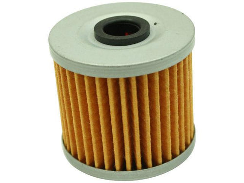 AEM Electronics High Volume Fuel Filter Element Replacement for 25-200BK