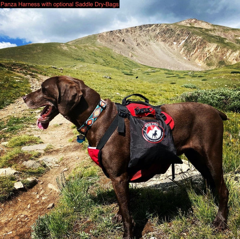 Load image into Gallery viewer, Panza Harness V2 with Deployable Emergency Dog Rescue Sling
