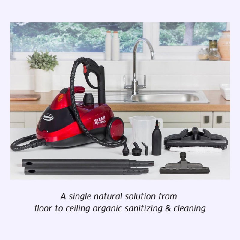 Load image into Gallery viewer, Ewbank SC1000 Steam Dynamo Multi-Tool Powerful Steam Cleaner for Chemical Free Cleaning
