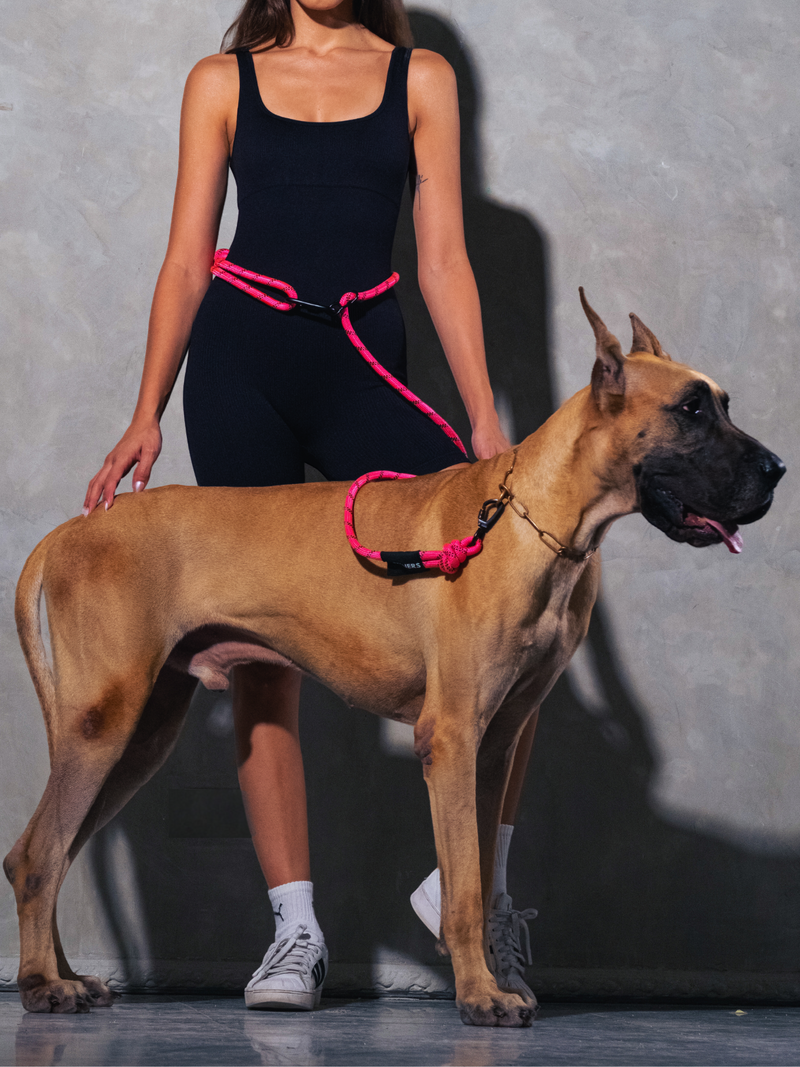 Load image into Gallery viewer, Neon Pink Running Hands-Free Dog Leash
