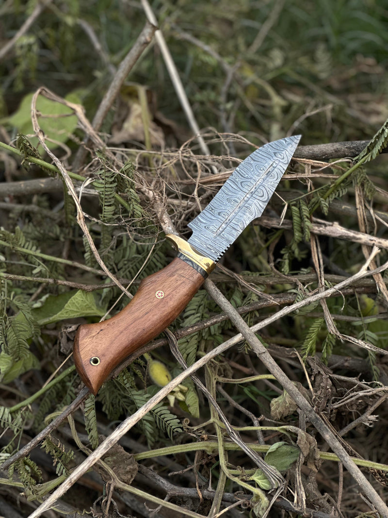 Load image into Gallery viewer, Hunting Blade – 10" Damascus Steel Knife with Rosewood Handle, Brass Guard &amp; Leather Sheath
