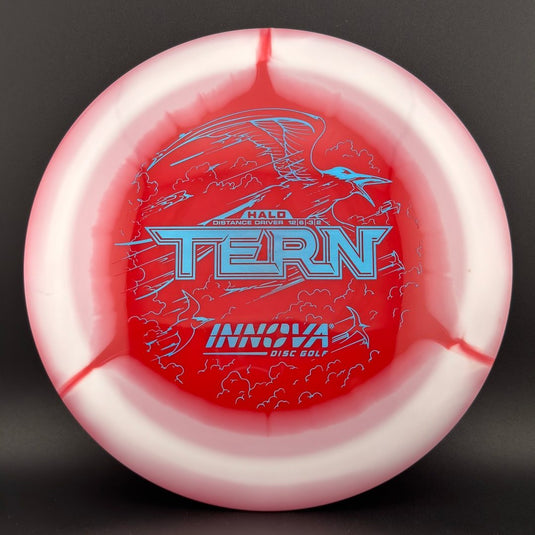 Halo Star Tern