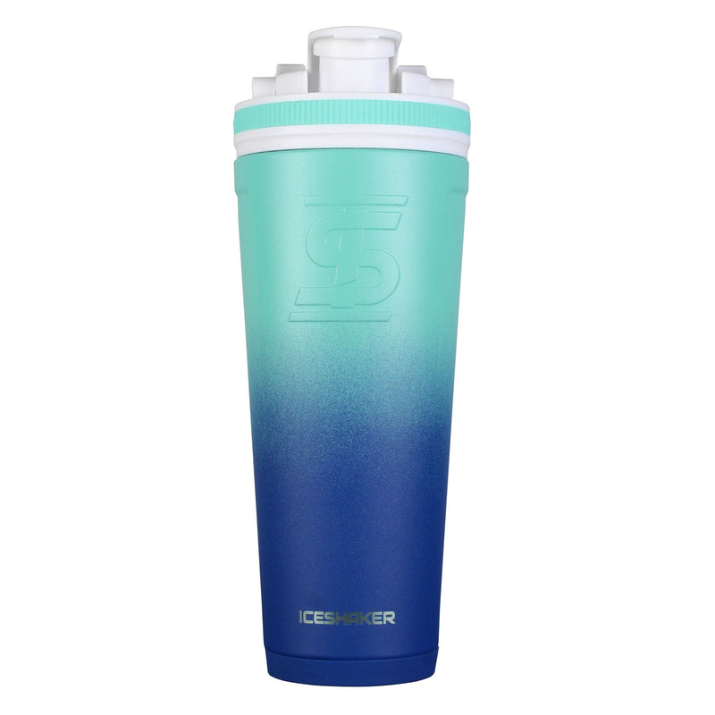 Load image into Gallery viewer, 36oz Ice Shaker
