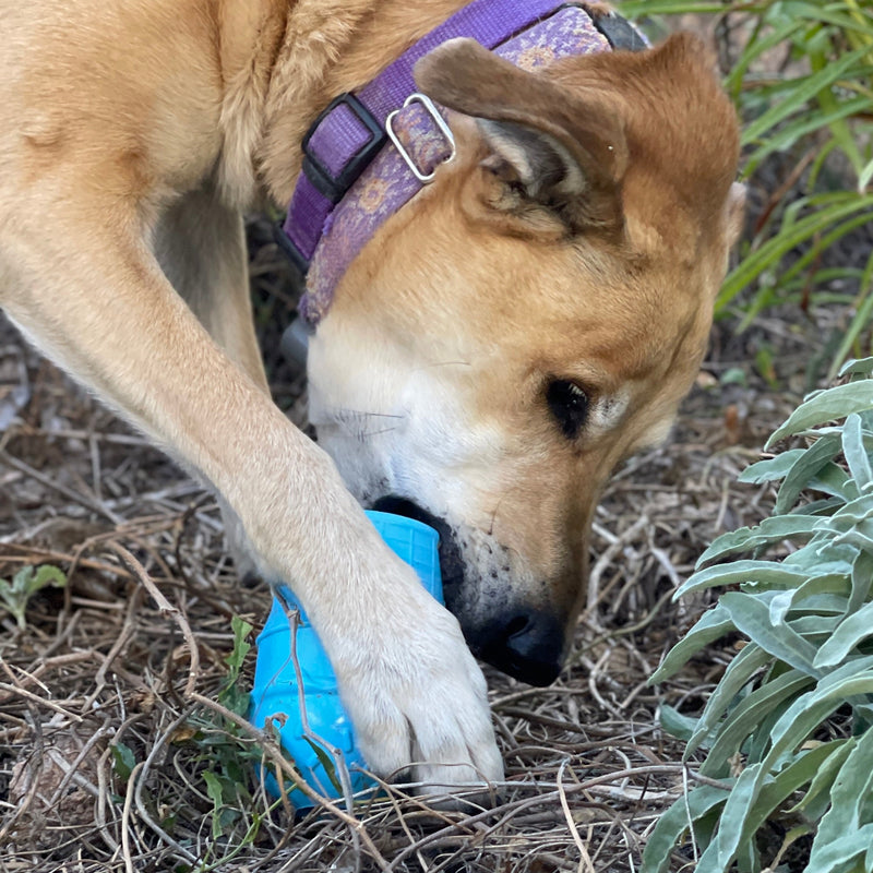 Load image into Gallery viewer, Ice Cream Cone Rubber Dog Chew Toy for Power Chewers | USA Made | SodaPup
