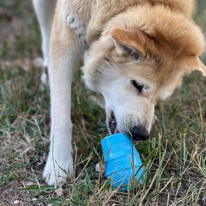 Load image into Gallery viewer, Ice Cream Cone Rubber Dog Chew Toy for Power Chewers | USA Made | SodaPup
