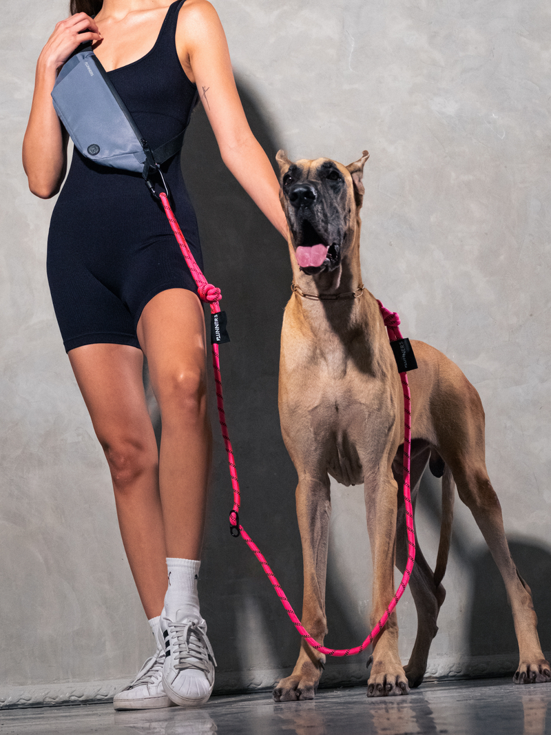 Load image into Gallery viewer, Neon Pink Running Hands-Free Dog Leash
