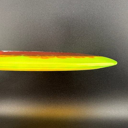 I-Dye Champion Roadrunner