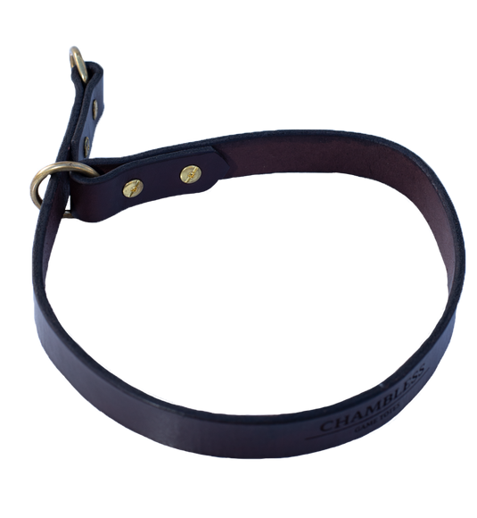 Durham Dog Training Flank Collar
